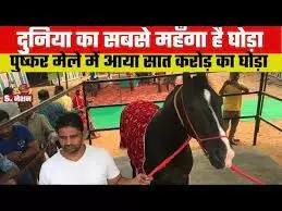 पुष्कर पशु मेला: 7 करोड़ में बिकने वाला फ्रेंड,जानिए इस महाराजा घोड़े की खूबियाँ.