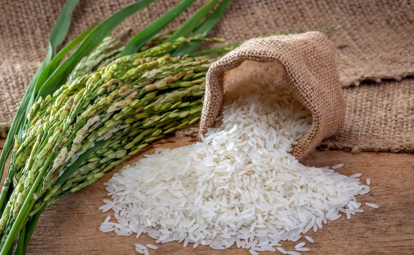 21 नवंबर 2023: बासमती चावल की  कीमतें basmati rice ke taja bhav