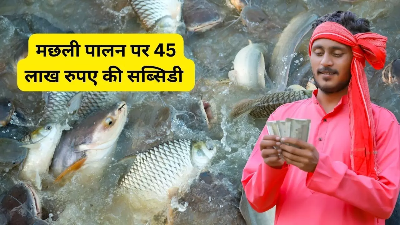 45 लाख रुपए की सब्सिडी के साथ शुरू करें मछली पालन का बिजनेस, ऐसे उठायें लाभ