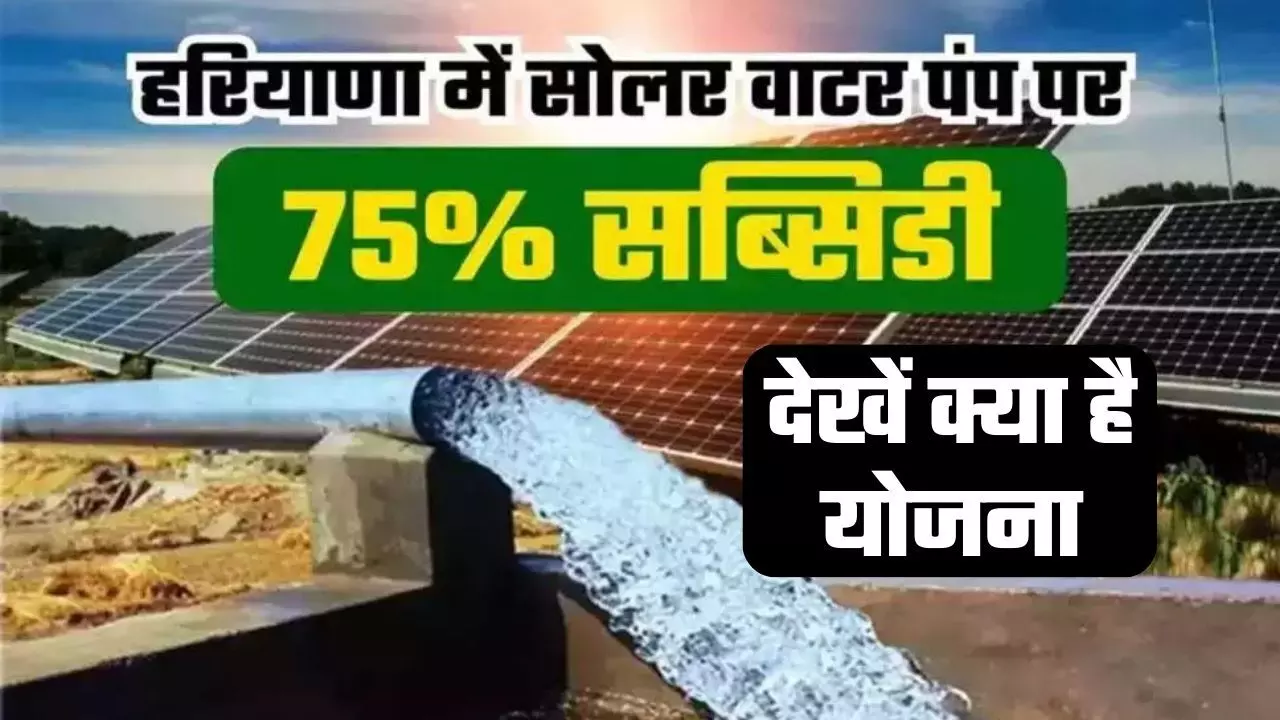Haryana Solar System: अब सरकार इन लोगों को देगी 75 फीसदी सब्सिडी पर सोलर पंप सिस्टम, देखें क्या है योजना